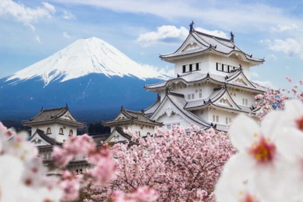 Himeji,Castle,And,Full,Cherry,Blossom,,With,Fuji,Mountain,Background,